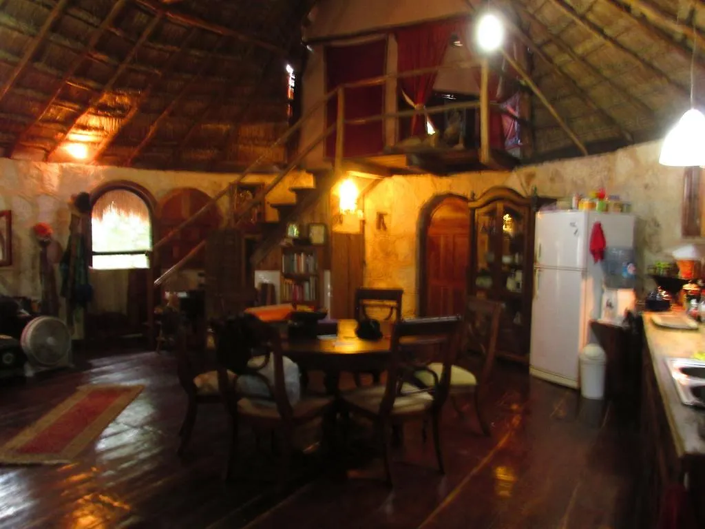 Bed and Breakfast Organic Yoga Mexico à Akumal 0*,  Mexique