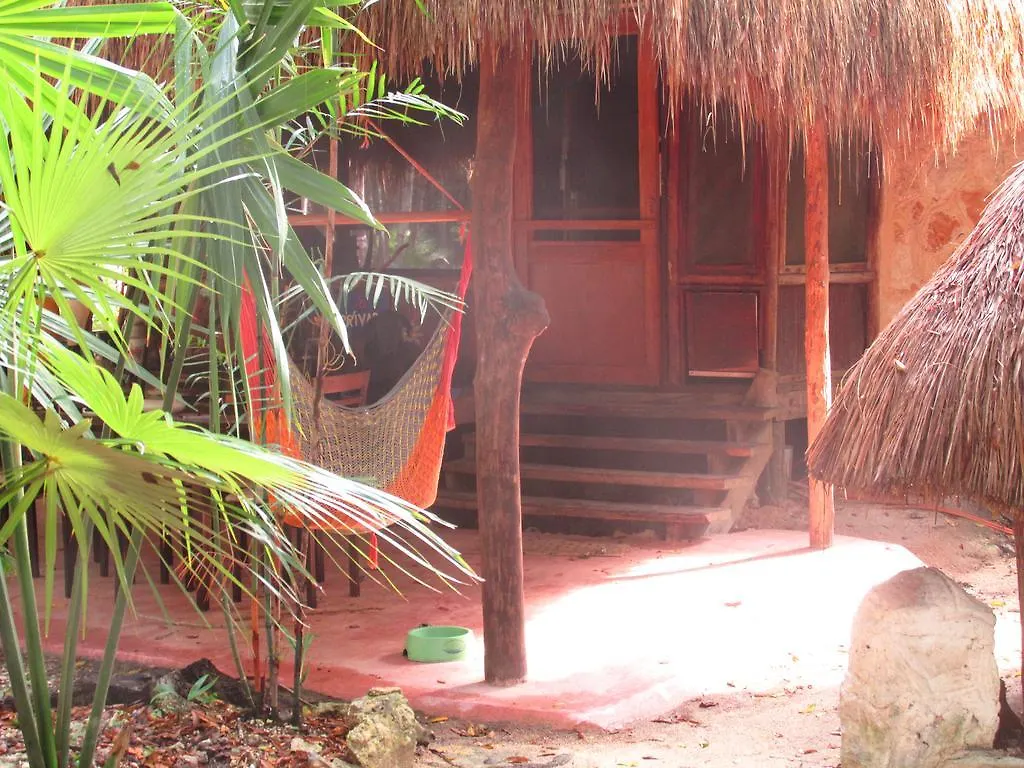 Bed and Breakfast Organic Yoga Mexico à Akumal Couette-café