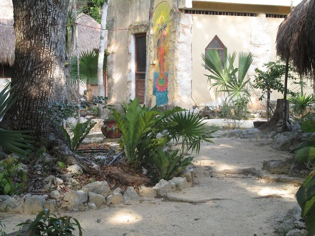 Couette-café Bed and Breakfast Organic Yoga Mexico à Akumal