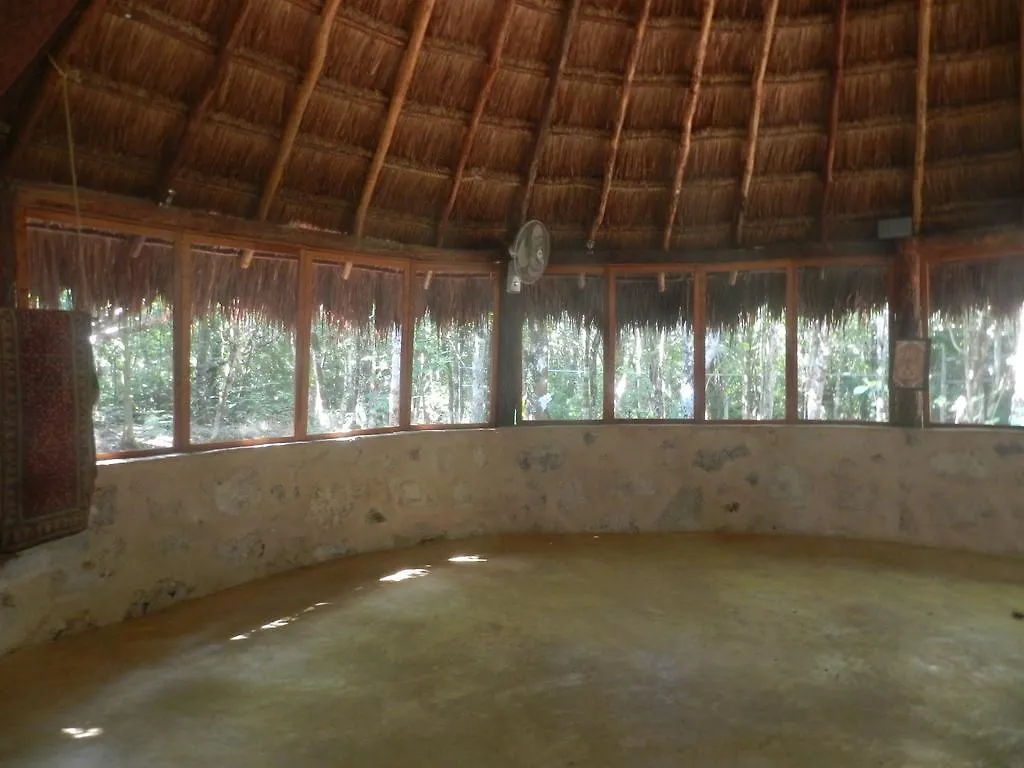 Bed and Breakfast Organic Yoga Mexico à Akumal Mexique