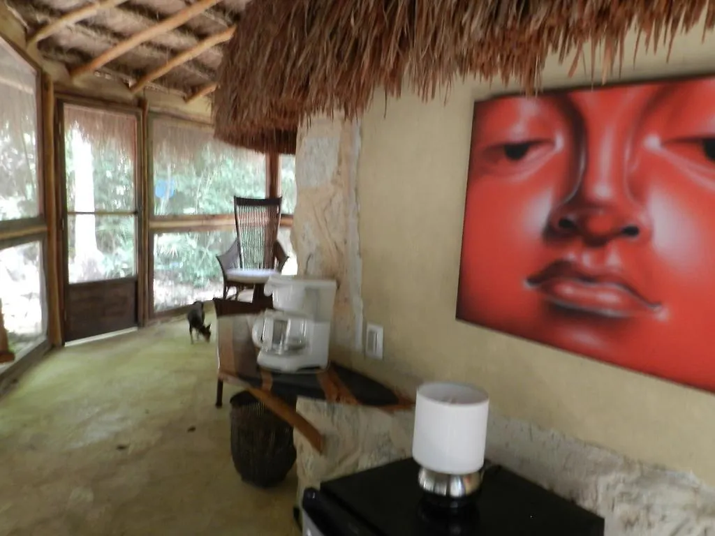 Bed and Breakfast Organic Yoga Mexico à Akumal 0*,  Mexique