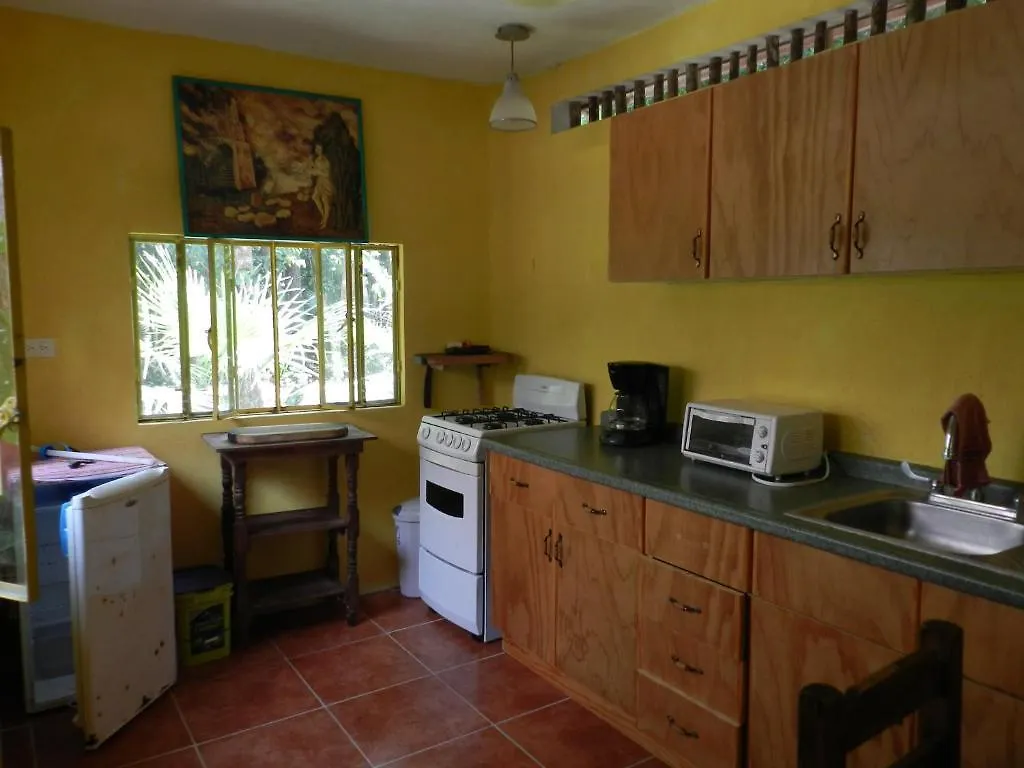 Bed and Breakfast Organic Yoga Mexico à Akumal Couette-café