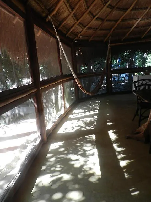 Bed and Breakfast Organic Yoga Mexico à Akumal