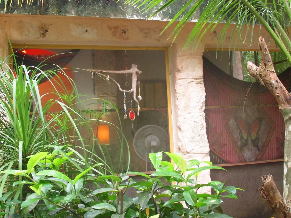 Bed and Breakfast Organic Yoga Mexico à Akumal 0*,  Mexique