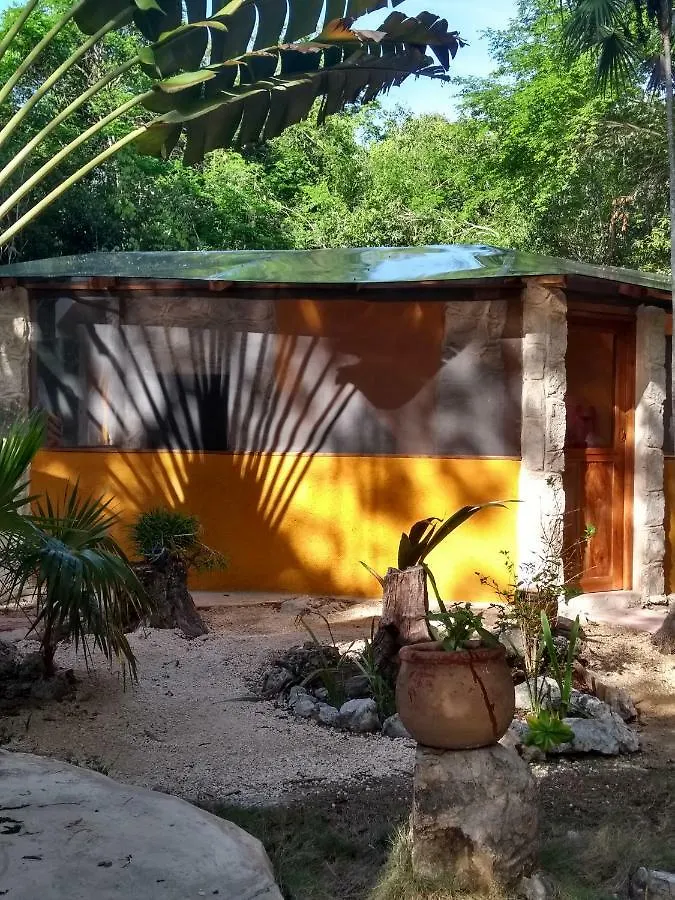 Bed and Breakfast Organic Yoga Mexico à Akumal Couette-café